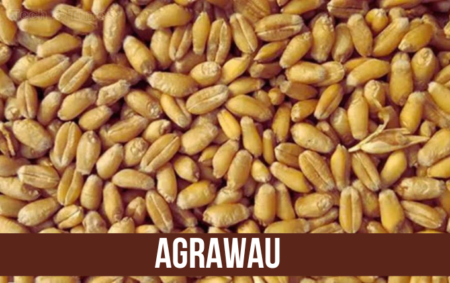 agrawau