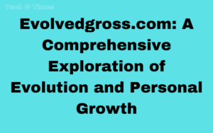 Evolvedgross.com: